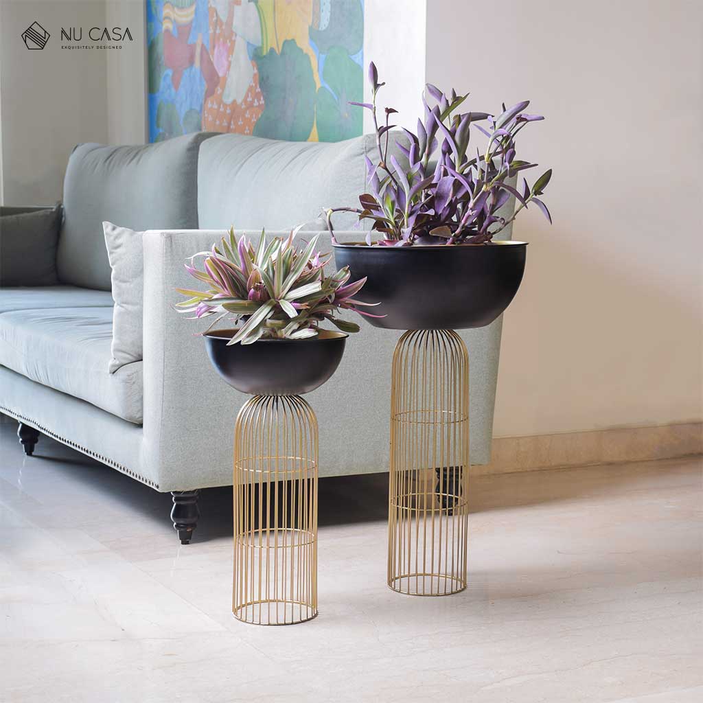 Bowl Planter set for living dinning balcony decoration Home décor at best price Shop now