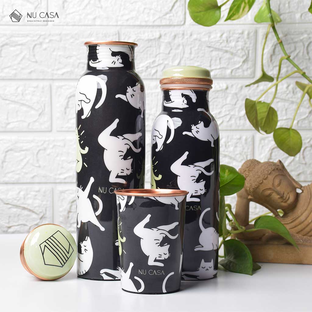 तांबे के बर्तन कॉपर पानी की बोतल buy Online Copper water bottle cost cleaning India