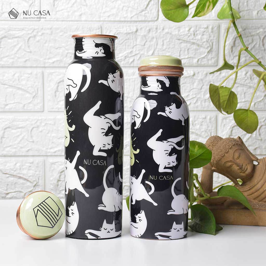 Copper bottle at best price india तांबे की पानी की बोतल स्वास्थ्य लाभ फायदे