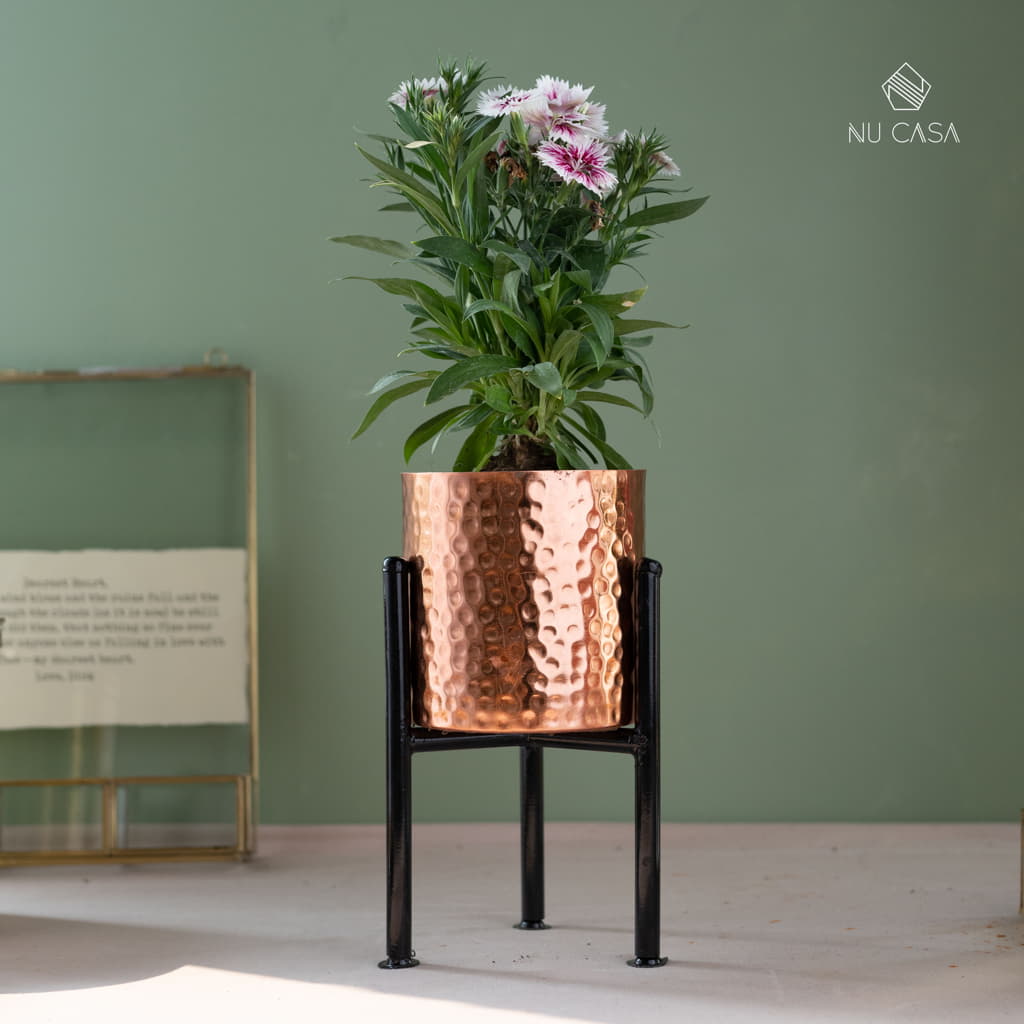 indoor copper plant pots Copper Planter - Best Quality Buy Online