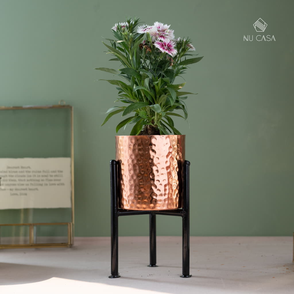 Copper planter for plants flower box pot online shop now 