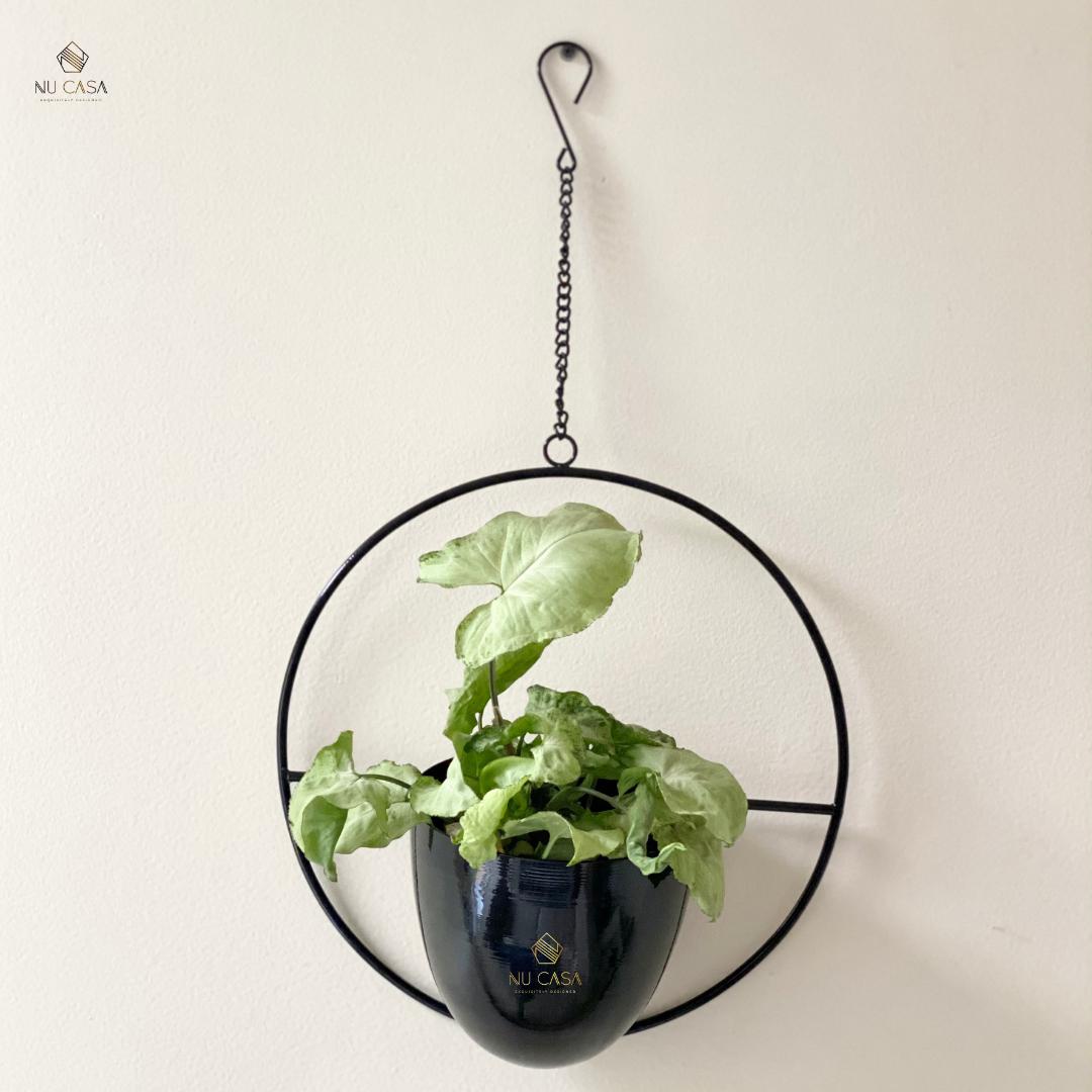 Shop Hanging planter pot flower online best price for wall balcony Home decoration