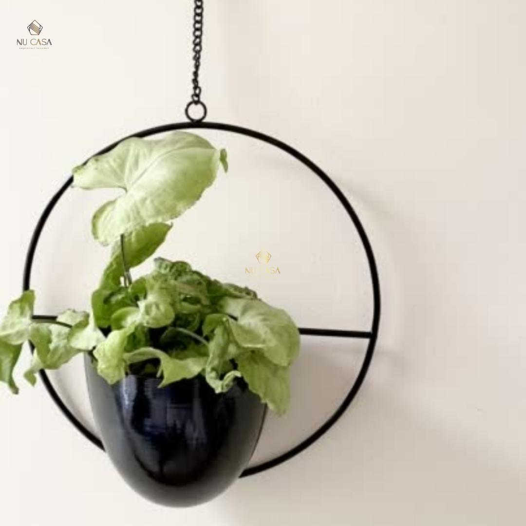 Shop Hanging planter pot flower online best price for wall balcony Home decoration