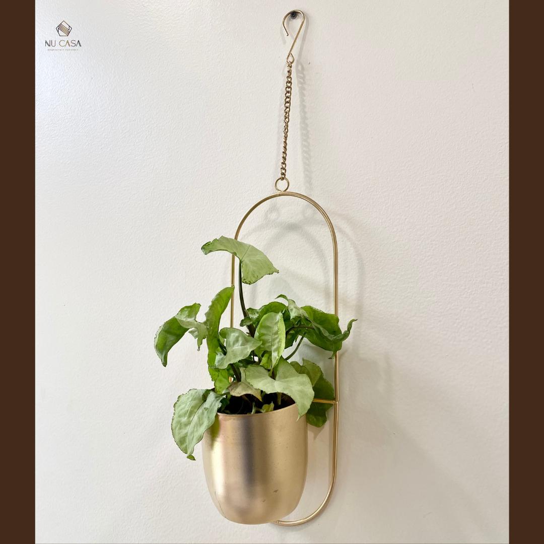 Buy Hanging Planter flower pot box living room  
