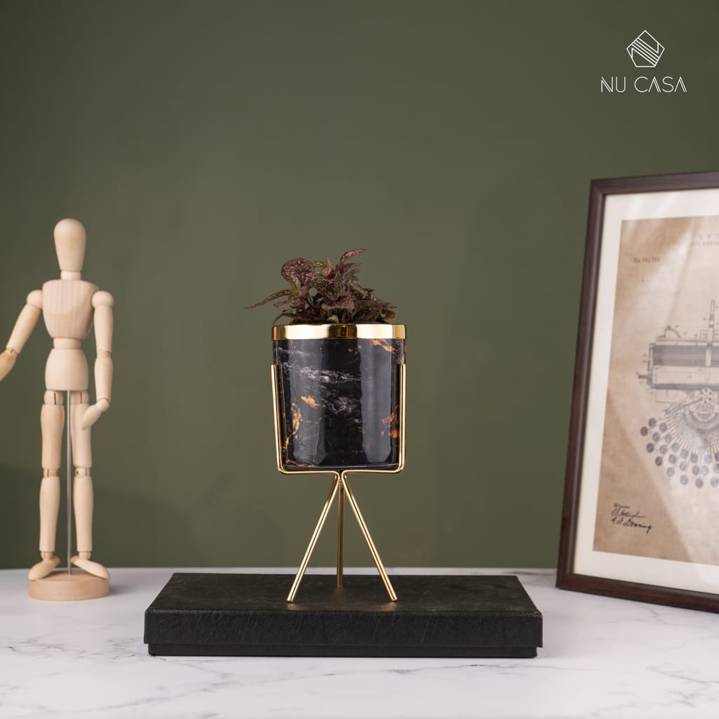 Plant Pots Buy planters online at an affordable price